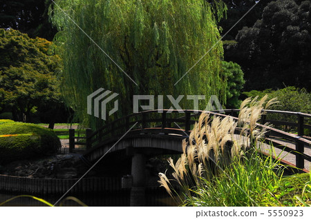 September Suzuki and Gramineae 34 5550923