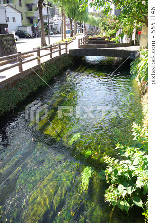 Scenery of Sakuragawa along Mizushigori street in Mishima-shi, Shizuoka prefecture 5551146