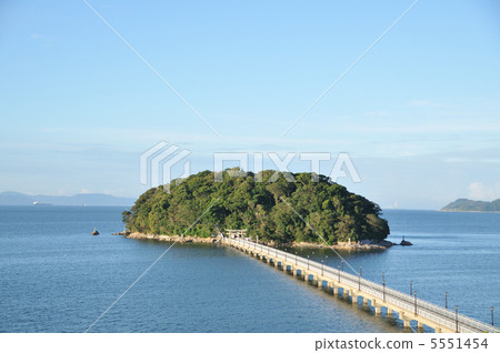 竹島 竹島 5551454