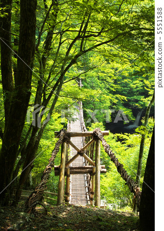 Tokushima Miyoshi City Double Kazura Bridge Otobashi 5551588
