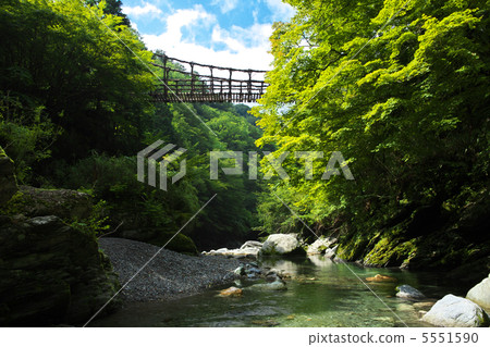 Tokushima Miyoshi City Double Kazura Bridge Otobashi 5551590