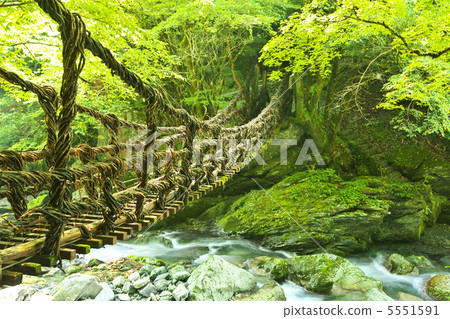 Tokushima Miyoshi City Double Kazura Bridge Women Bridge 5551591