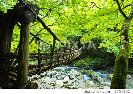 Tokushima Miyoshi City Double Kazura Bridge Women Bridge Tokushima Miyoshi City Double Kazura Bridge Women Bridge 5551592