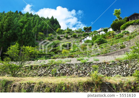 德島吉澤市市政石砌 德島吉澤市市政石砌 5551610