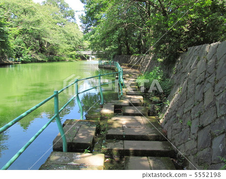 武藏紀念公園 武藏紀念公園 5552198