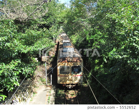 Choshi Electric Railway in the forest 5552652
