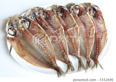 竹莢魚的開幕 5552690