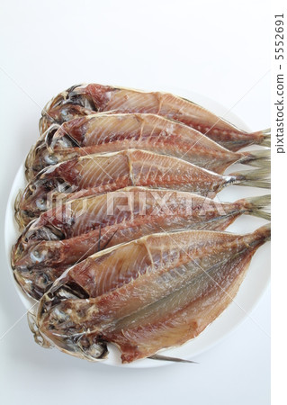 竹莢魚的開幕 5552691