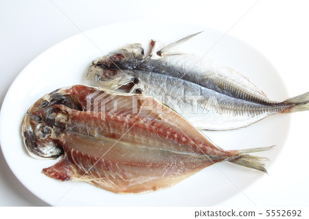 竹莢魚的開幕 5552692