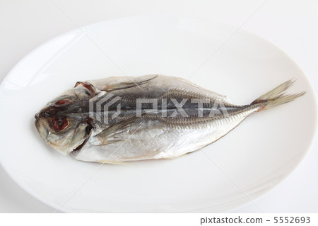 竹莢魚的開幕 5552693