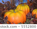 Pumpkin ornament 5552800