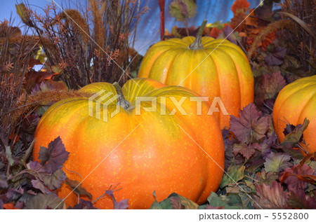 Pumpkin ornament 5552800