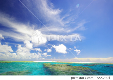 美麗的海珊瑚礁在沖繩島 美麗的海珊瑚礁在沖繩島 5552901