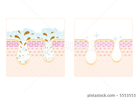 Skin Care - 12 ■ Pore · Facial cleansing · Skin · Skin · Sectional view · Horizontal Skin Care - 12 ■ Pore · Facial cleansing · Skin · Skin · Sectional view · Horizontal 5553553