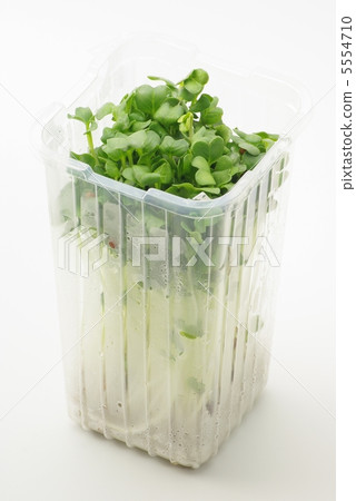 Radish sprouts  5554710