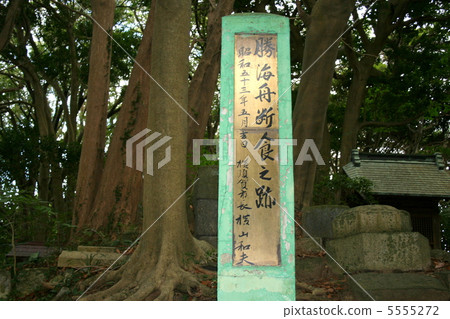 參觀橫須賀的100個最愛的神社 參觀橫須賀的100個最愛的神社 5555272