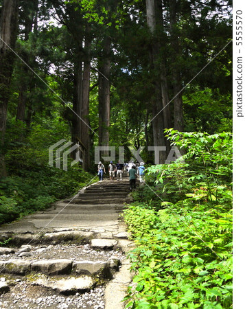 Togakushi神社的方法 5555570