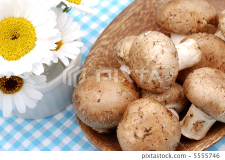 Mushroom Mushroom 5555746