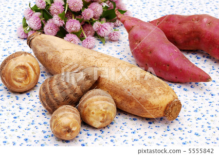 Autumn taste Autumn taste 5555842