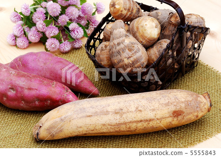 Autumn taste Autumn taste 5555843