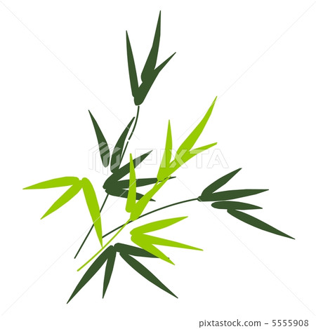 箭竹 芭蕉叶 如此