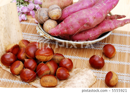 Autumn taste 5555921