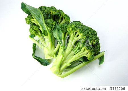 Eat a lightning strike Vegetable broccoli 2 pieces · Horizontal position white back 5556206