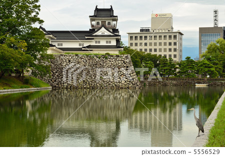 Walking Toyama · Toyama Castle Ruins Park 5556529