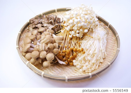 Four kinds of mushrooms in Bamboo, Enokita, Brown Enoki, Bunashimeji, Mai Mush · Horizontal position White Back Four kinds of mushrooms in Bamboo, Enokita, Brown Enoki, Bunashimeji, Mai Mush · Horizontal position White Back 5556549