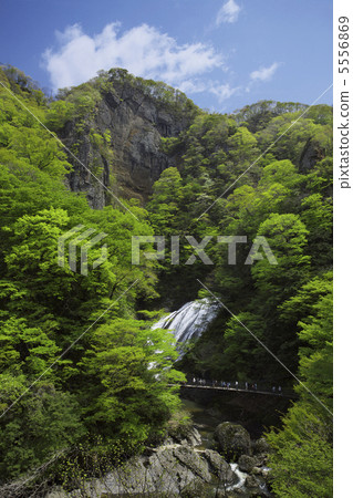 Fukurodon waterfall Oku Kuji valley of the fresh green when it is Golden Week Suspension Bridge Takigawa Pacific rock 5556869