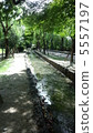 溪流 5557197