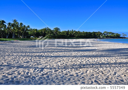 beach, beaches, sand beach 5557349