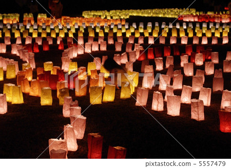 在光明中玩耍 5557479