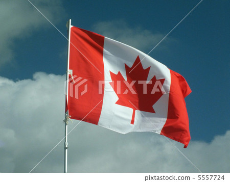 Canadian flag 5557724