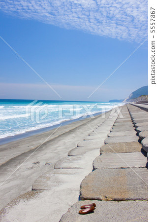 新島Habushiura海岸 5557867