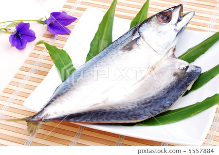 Fish opening Fish opening 5557884