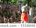 Toyokawa Inari Shrine Inari 5558048