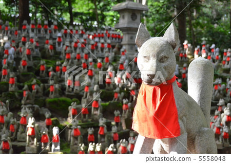 Toyokawa Inari Shrine Inari 5558048