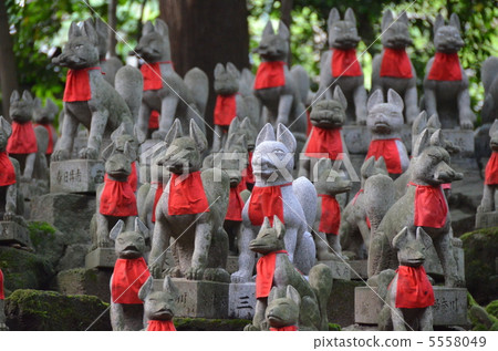 Toyokawa Inari Shrine Inari 5558049