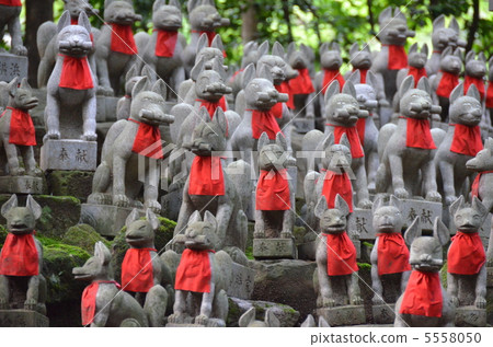 Toyokawa Inari Shrine Inari 5558050