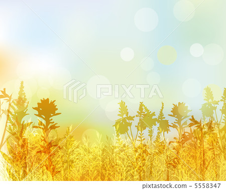秋天草背景 秋天草背景 5558347