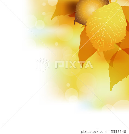 秋天紅色留下背景 秋天紅色留下背景 5558348