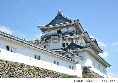 The castle tower of Wakayama castle The castle tower of Wakayama castle 5558566