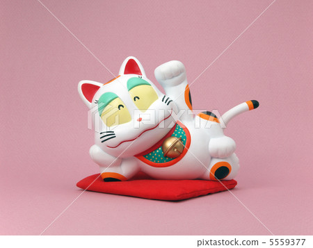 Sleeping sleeping cat Sleeping sleeping cat 5559377
