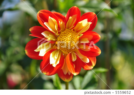 Fishing fires 5559652