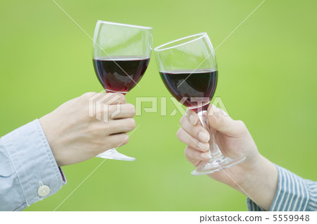 A couple's toast toast on the meadow 5559948