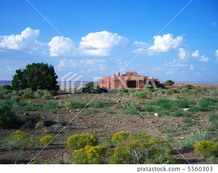 Petrified Forest 5560303