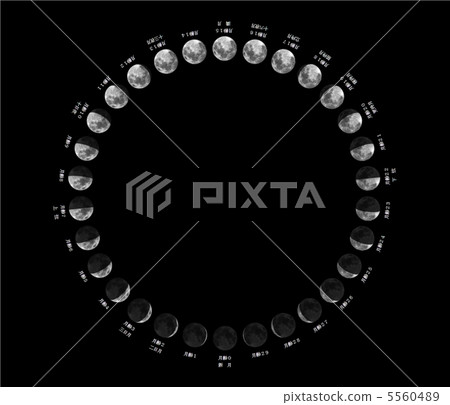 The phases of the moon 5560489