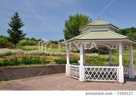 British style garden British style garden 5560527