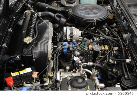Skyline Kenmeri Engine 5560545